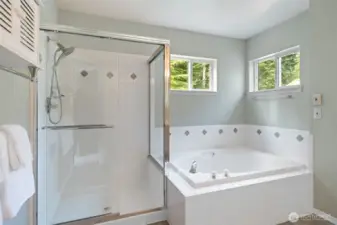 Primary bath with walk in shower and soaking tub.