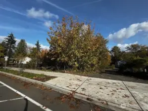 Looking to the east, fence along the front of the property