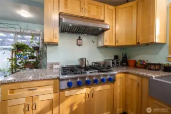 Professional-quality 6-burner gas (propane) range and vent hood