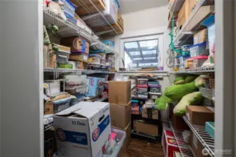 lLarge walk-in closet with window in bedroom #2 provides lots of storage space