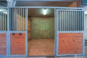 One of seven 12 X 12 matted stalls with Noble panel stalls fronts.