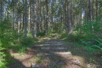 Mini extreme equine obstacle course - perfect for working in- hand or under saddle. There are eight obstacles on the course - more details in feature sheet.