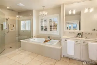 Main Floor Primary Bathroom