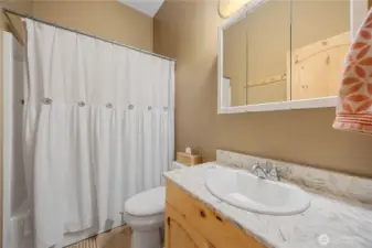 Lower level full bath