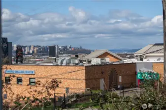 view of city and olympic mountains