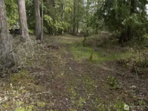 Walking Path North of property