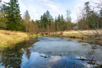 Pond located on the far back side of the property