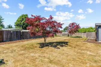 Large side yard in the front