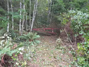 Just to the left of power pole 18 is an area to pull in. This gate was put in after the property was logged several decades ago.