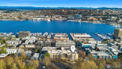Amazing Westlake location close to Lake Union, Tech Companies, Eateries and Coffee shops.