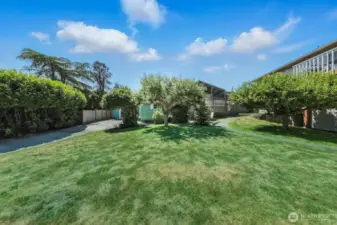 gorgeous garden front yard with fruit trees and added privacy