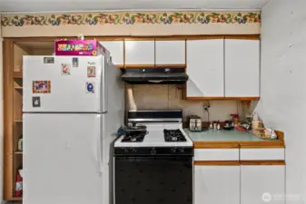 Full size fridge with open-style pantry on its left.