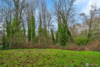 This picture isn't showing off the view as much as in person. What used to be a sweeping view, is chopped up by older trees now. When these fill in during the summer, the natural greenery offers a peaceful privacy screen.
