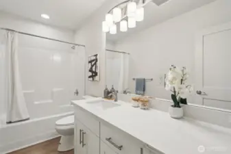 Lower level full bath
