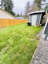 backyard with shed