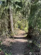 Walk to Lake Josephine Riviera Dock