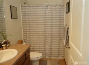 Main bath with tub/shower combo.