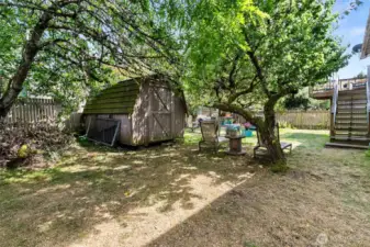large back yard with mature fruit trees and garden shed