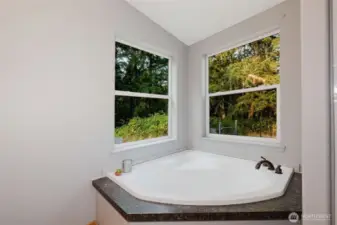 Soaking tub with large windows for a relaxing retreat.