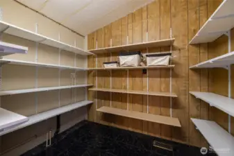 A peek into the gigantic pantry closet off the kitchen, perfect for all your kitchen supplies, extra kitchen appliances, canned goods, etc.
