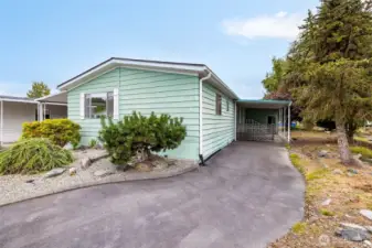 Second driveway and carport = lots of parking for gatherings of family and friends!