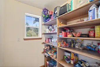 Kitchen Pantry