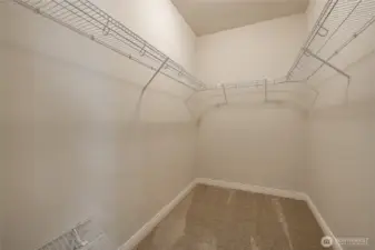 Primary Bedroom - walk-in closet