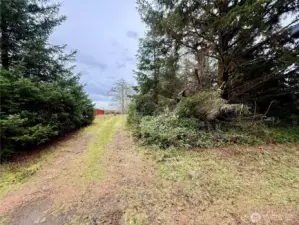 This parcel has been cleared and leveled in the past.