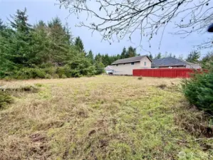 Looking N across the parcel.