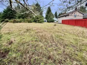 Looking W towards the street.