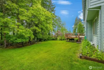 Backyard - backs up to the nature preserve green space. Lots of wildlife to watch.