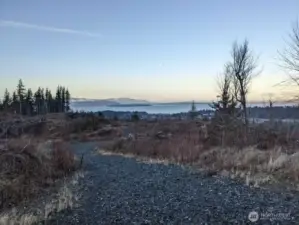 Samish Crest Trail - a part of the Samish Crest Open Space has an extensive trail system for hikers, trail runners and mountain bikers alike!
