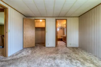 Primary bedroom with walk-in closet.