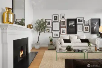Main Level Living Fireplace