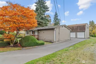 Showing Driveway to plenty of off-street parking in back of home