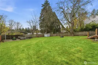 Wow, look at that yard! The car port can handle your boat or other extras you may need to store.