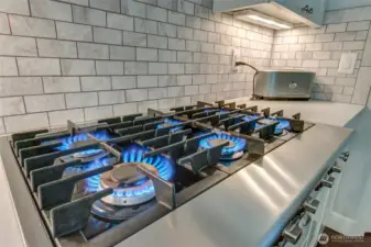 Electrolux ICON professional grade cooktop