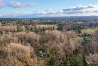 Ideal build site tucked in to the trees.