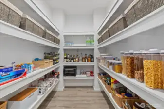 Huge Butler's Pantry