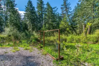 Sunny garden space with young orchard trees, berry bushes, and raised beds—already started and full of potential. Surrounded by forest, with custom fencing and trellises in place to support future growth.