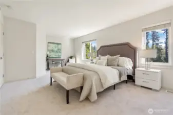 Spacious Master-bedroom