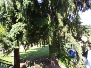 view