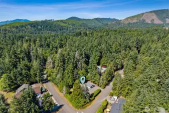 Aerial view showing proximity to N Union Dr. and N Duckabush Dr.