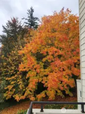 Beautiful Autumn Views