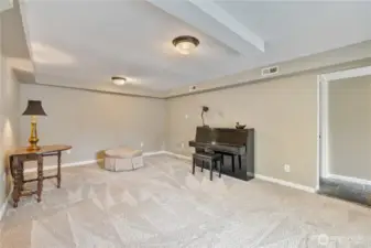 One more look at this bonus room.