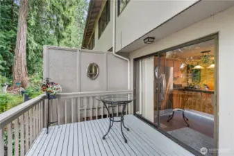 Another look at the back deck.