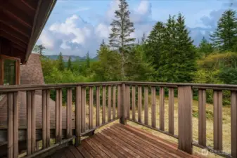 Imagine waking up these views from the balcony off your primary bedroom