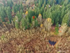 Secluded and dark and quiet and wildlife