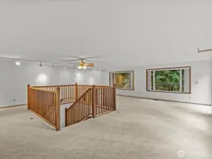 Another look at the rec room or library