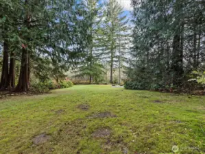 Live in the forest not in the city